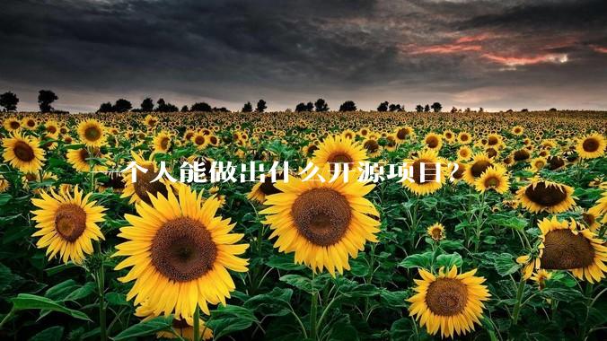 一个人能做出什么开源项目？