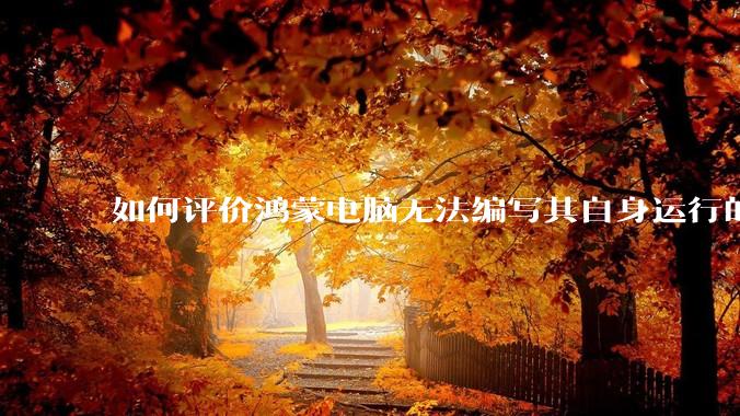 如何评价鸿蒙电脑无法编写其自身运行的程序？