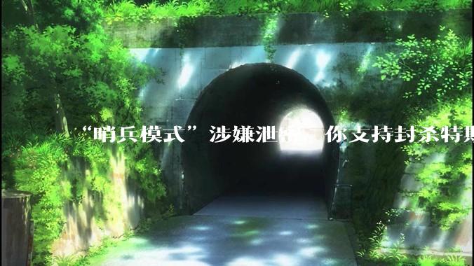 “哨兵模式”涉嫌泄密，你支持封杀特斯拉吗？