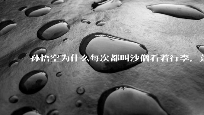 孙悟空为什么每次都叫沙僧看着行李，荒山野岭的还怕有人来偷吗？