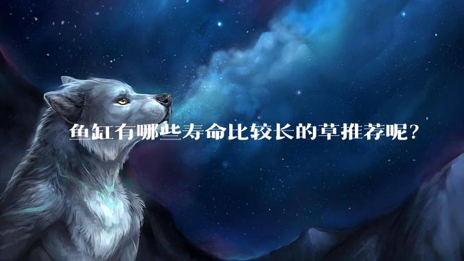 鱼缸有哪些寿命比较长的草推荐呢？