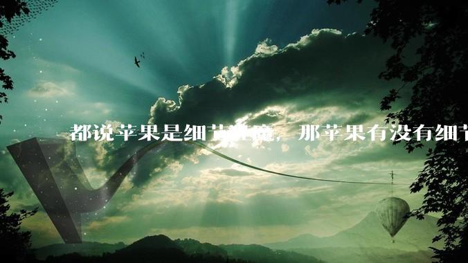 都说苹果是细节狂魔，那苹果有没有细节其实做的很差的点？