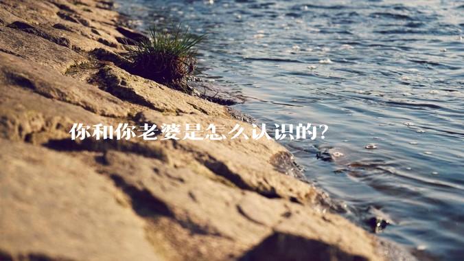 你和你老婆是怎么认识的？