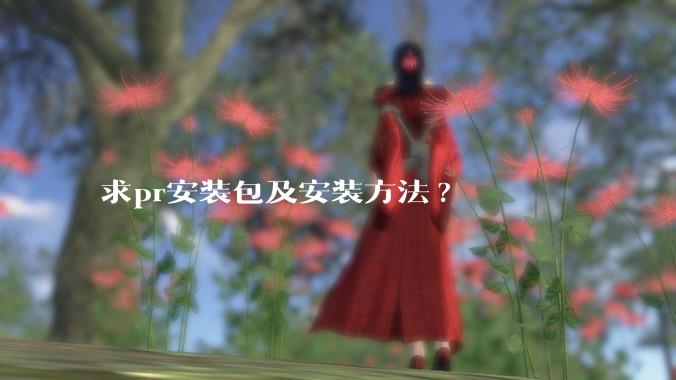 求pr安装包及安装方法?