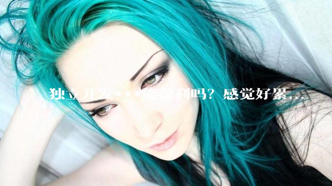 独立开发***能盈利吗？感觉好累...