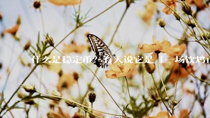 什么是稳定币？有人说它是「一场饮鸩止渴的游戏」，你怎么看？