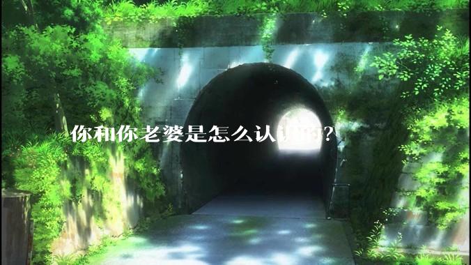 你和你老婆是怎么认识的？