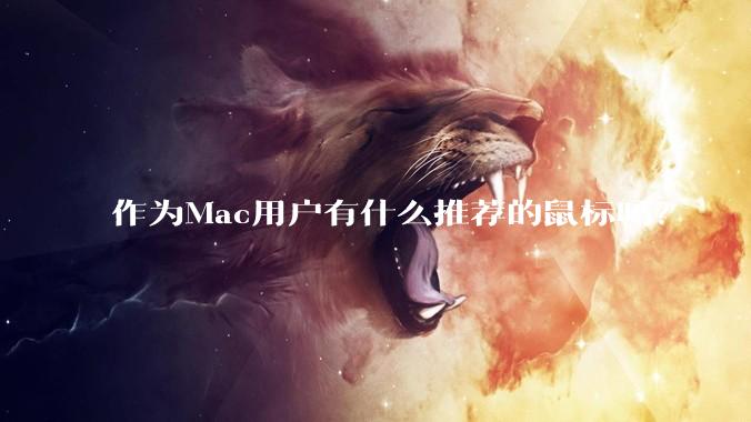 作为Mac用户有什么推荐的鼠标吗？