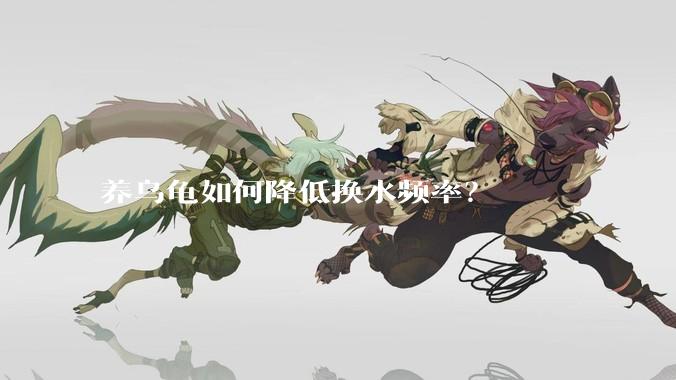 养乌龟如何降低换水频率？